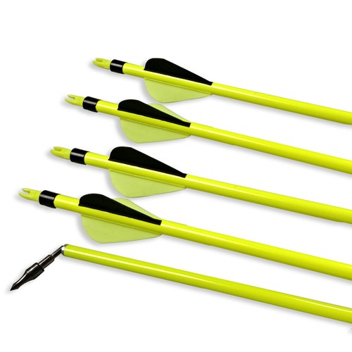 6/12pcs 30" Archery Carbon Arrows SP500 Tips Target Compound Recurve Bow Hunting - Picture 9 of 12