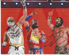 WWF Star Lince Dorado autographed 8x10 color  photo