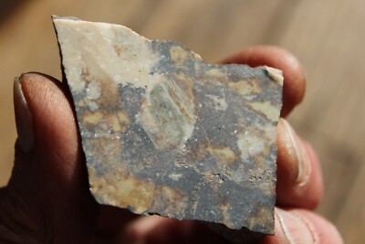 MINERAL   NATIVE SILVER Very Rare Locality New Mexico 42 gram Specimen  #8
