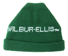 Vintage Towsleys Wisconsin Wilbur-Ellis TM Green White Knit Rolled Beanie Hat