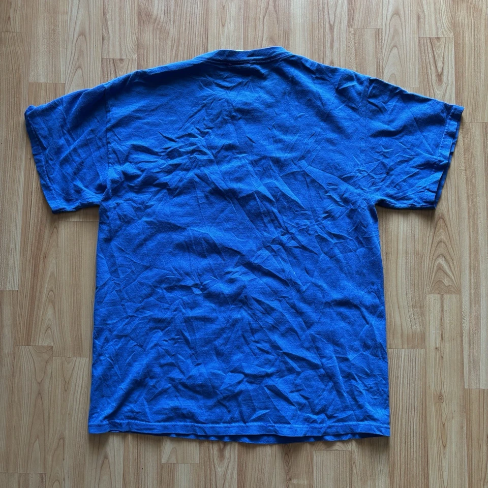 Camisa Vintage Y2K 2004 Amazon Princess Six Flags ¡Talla M! Foto 3 de 4