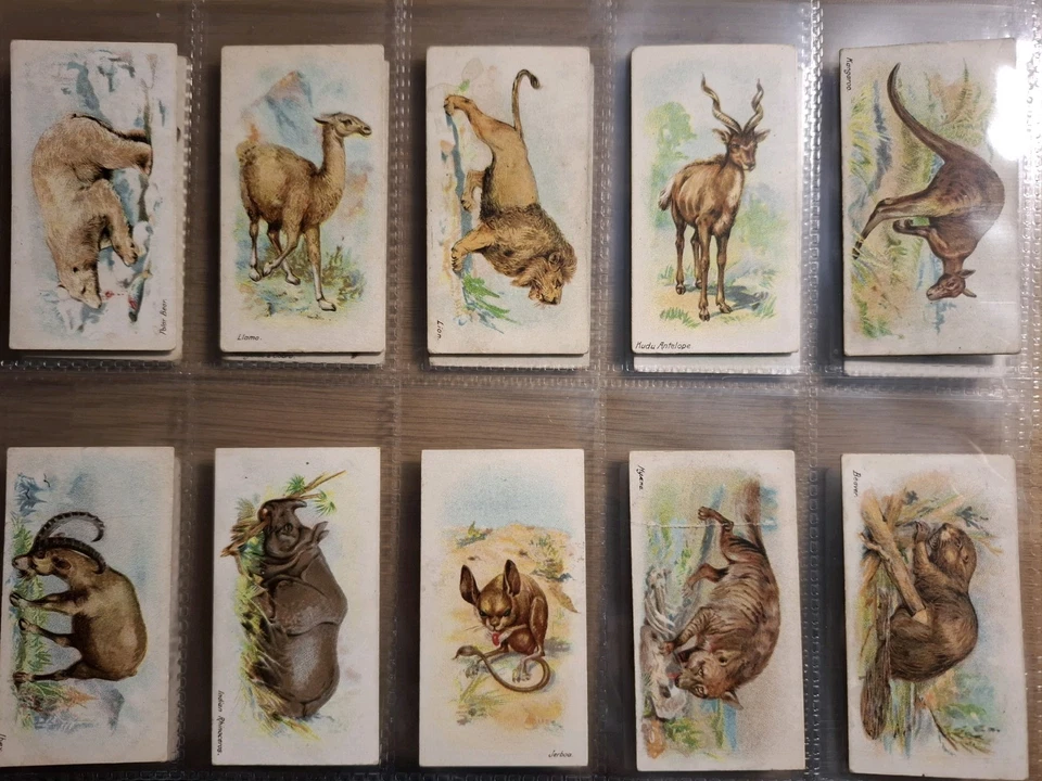 Players Wild animals of the world "LTD" 1902 - Image 3 of 3