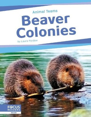 Laura Perdew Beaver Colonies (Taschenbuch) Animal Teams