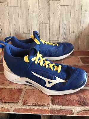 Mizuno Wave Momentum Mens Court Shoe Blue White Volleyball Pickleball  Shoe