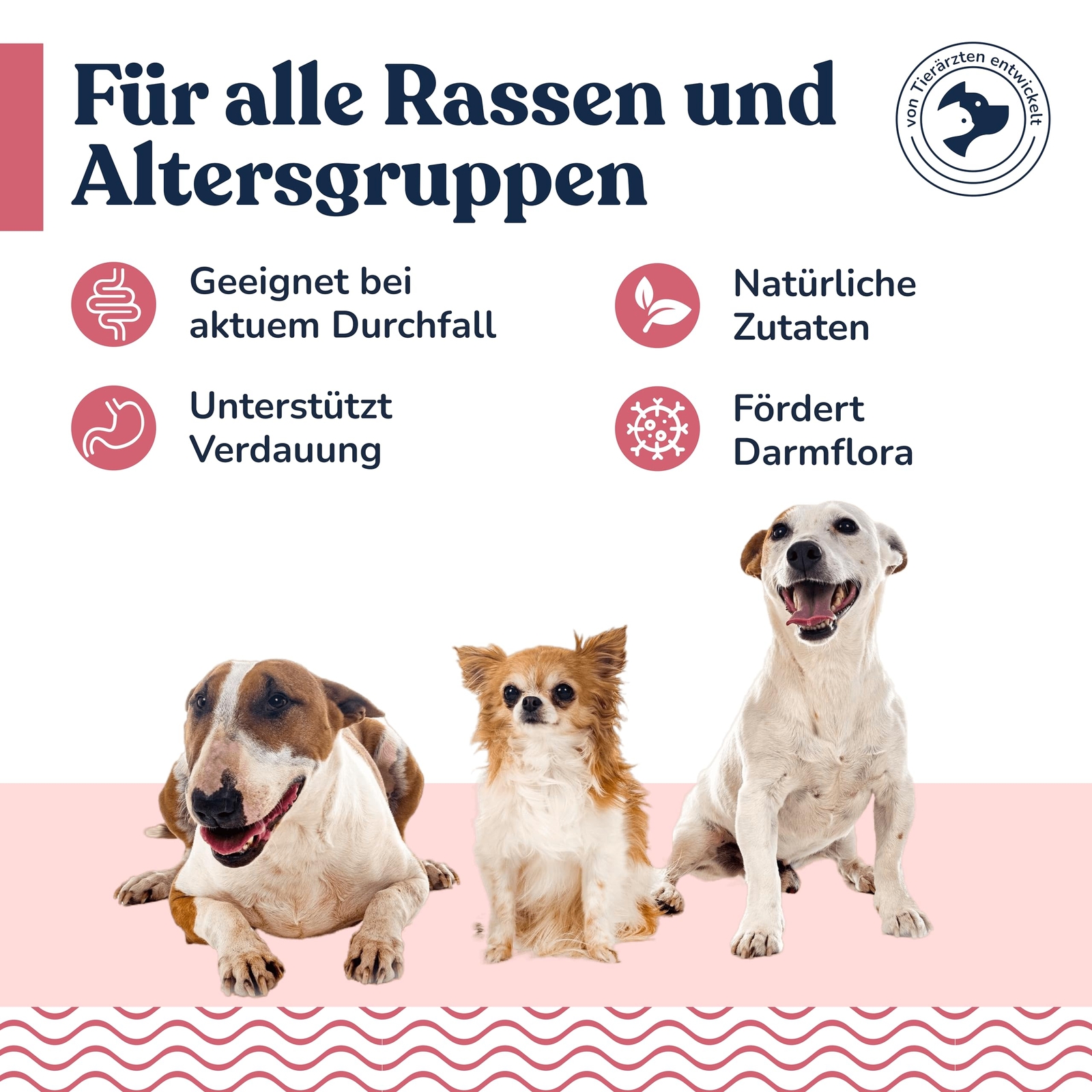 Bild 3 von 7