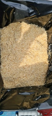 lignocel snake bedding