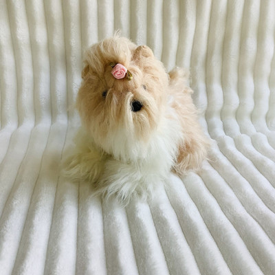 2005 Ty Beanie Babies Tibby The Shih Tzu Plush Puppy Dog 6  Small NO TAG