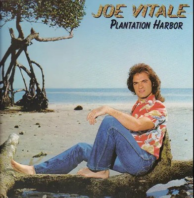 Joe Vitale Plantation Harbor Asylum Vinyl LP