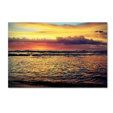 Morning Glory Artwork by Beata Czyzowska Young, 30 by 47-Inch