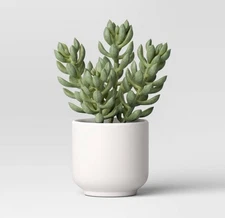 Threshold™ Faux Succulent in Melamine Pot, Indoor Decor