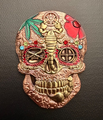 - RARE - Arizona HSI HIDTA Skull Challenge Coin 3  Copper w/ color Variant