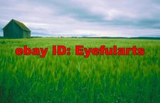 Fields Corel Royalty-Free Stock Photo CD-ROM Disk USB