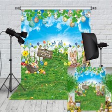 Easter Backdrop Green Grass Colorful Eggs Fence Bokeh Background Spring Banner