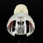Lampe BL-FP280C / DE.5811116085-SOT Avec Boîtier – Rechange Compatible Optoma HD86, HD8600, HD87 – Qualité Premium