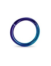 Titanium Hinged Segment Ring Nose Hoop Ear Cartilage 5/16" - 8mm 16 Gauge 16G