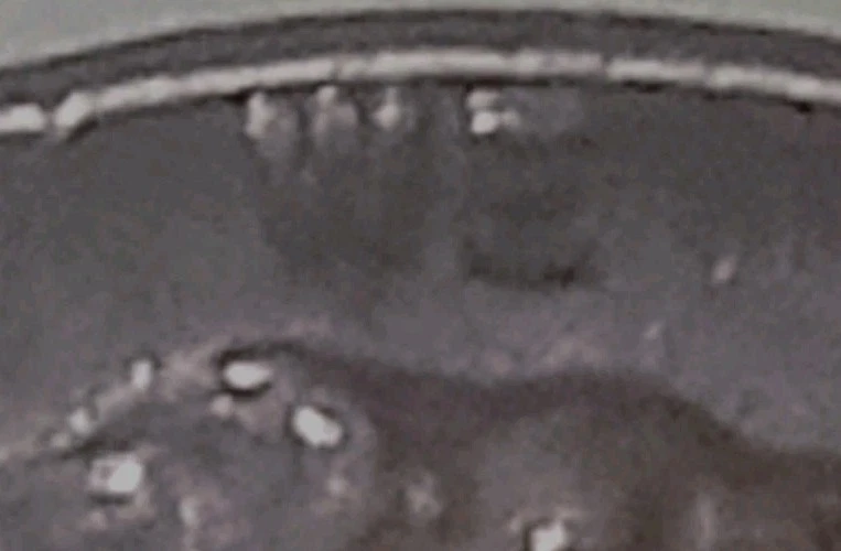 1955 P BN DDO,Mint Error Coin, Lincoln Wheat Cent Penny,Free Shipping!!! - Image 3 of 4