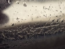 MICROWORMS Live Food Culture - For Nano Fish And Fish Breeding - Starter Culture