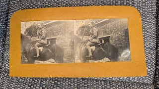 stereoview vintage girl horse wick lane stables christchurch