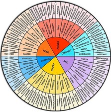 Feelings Wheel Large 12 inch Acrylic Emotion Wheel Chart For Therapy School C...