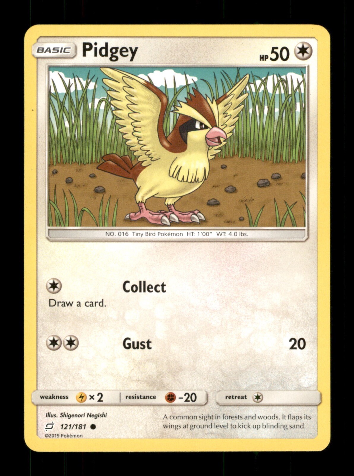 Pidgey 121/181 Non-Holo Nintendo  Pokemon Trading Card TCG 