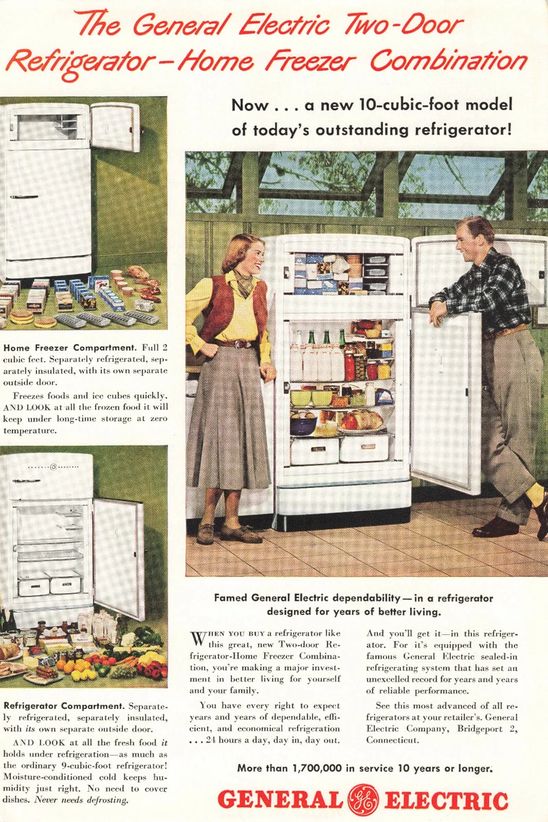Ge 2 2024 door refrigerator