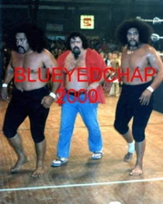 SAMOANS AFA & SIKA & LOU ALBANO  WRESTLER 8 X 10 WRESTLING PHOTO WWWF