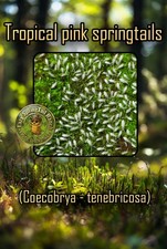 Springtales Tropical Pink "Feeders" 500 