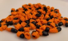 BIRD OF PARADISE SEEDS, LOT OF 200 SEEDS