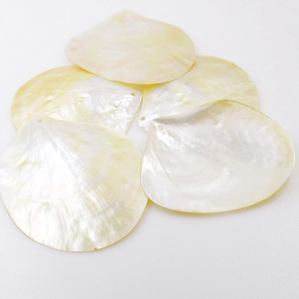 5 PCS 65mm-80mm Shell Natural Light Golden Mother of Pearl Collectibles Dish - Image 2 of 4