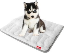 Dog Crate Mat 24" X 18" , Small Dog Bed for Crate, Soft Plush Bed Pad Machine
