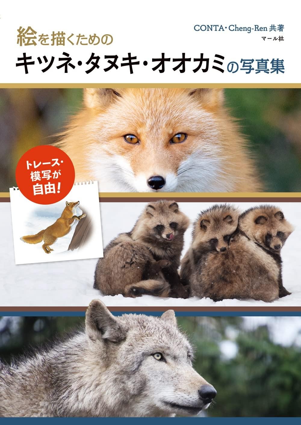 Book Photographic Reference Book for Drawing Foxes, Raccoon Dogs,... Japanese