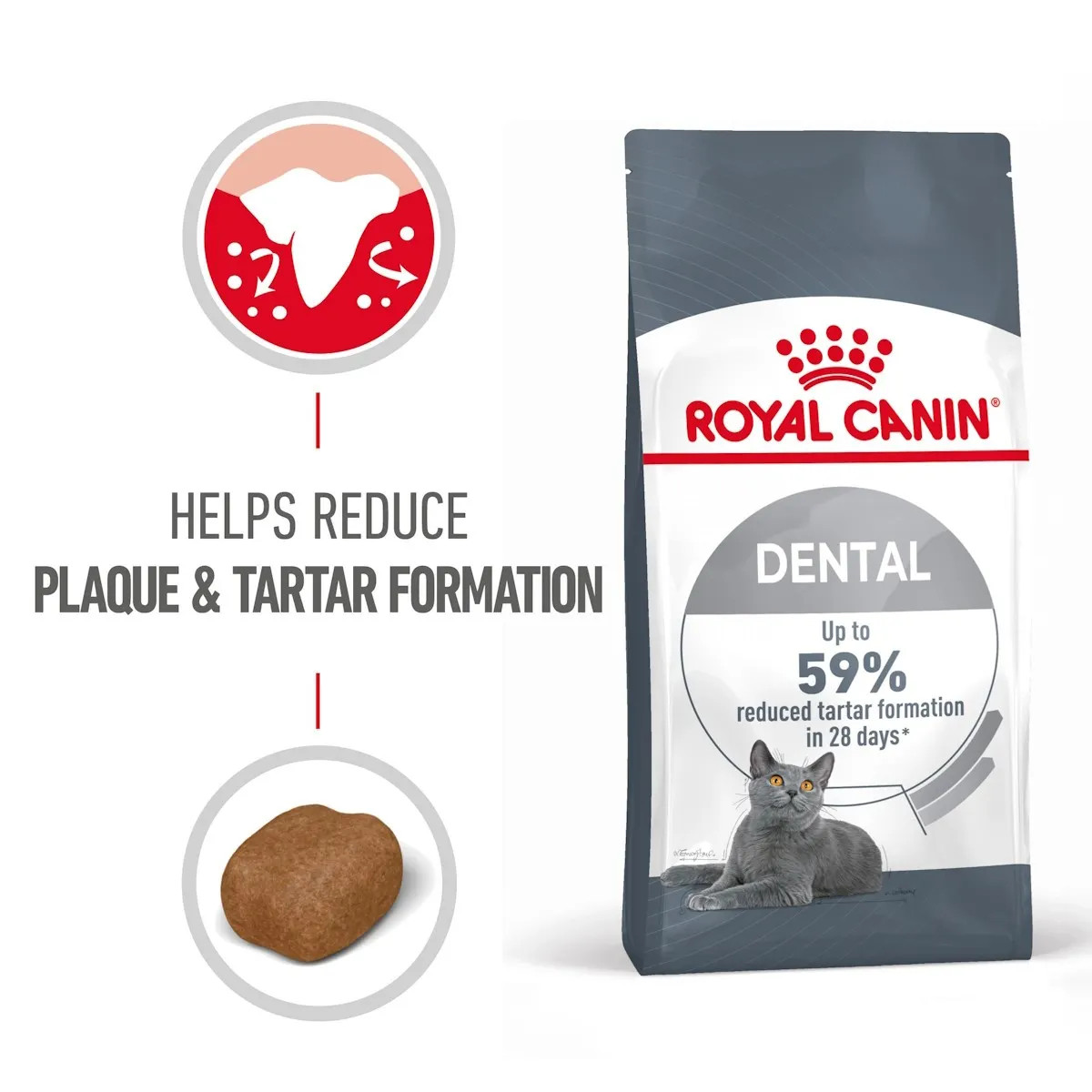 Royal Canin Dental Care Adult Dry Cat Food - Bag Size : 3.5kg