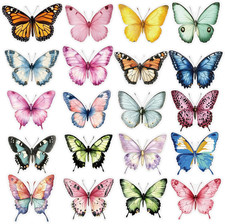 Colored Butterfly Stickers - 50 Pcs Clear PET Realistic Butterflies Stickers for