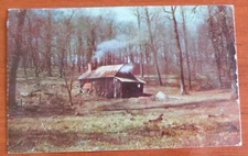 Sugar Camp in Somerset County, PA : Sap for Maple Syrup, Old Cabin - postcard
