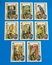 2021 TOPPS ALLEN & GINTER  set of  10 . BIRDS OF A FEATHER . PARROTS , BIRDS .