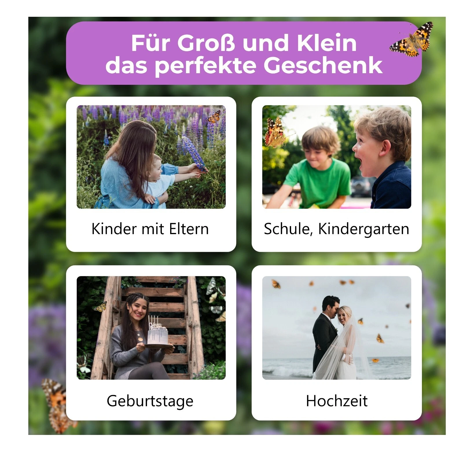 Bild 13 von 16