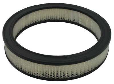 Air Filter Pentius PAB303