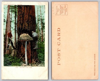 Detroit Photographic Co. Felling Giant Tree Logging Postcard c1910
