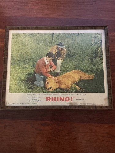 Original 1964 Rhino Movie lobby card Poster.
