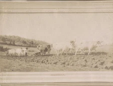 BEAUTIFUL ALBUMEN PHOTO OF A PAINTING BY ROSA BONHEUR