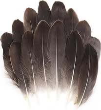 120Pcs Natrual Gray Natrual Goose Feathers Natural Bulk 6-8 Inch 15-20Cm for Cra
