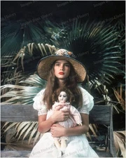 (6) 8x10 Prints Brooke Shields Keith Carradine Susan Sarandon Pretty Baby #5788