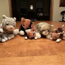 TY Stuffed Set Of 7 Cat’s - Includes Chip The Calico Cat 1998 & 4 Beanie Babies