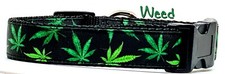 Weed Herbs dog collar handmade adjustable buckle collar 1" or 5/8" wide or leash