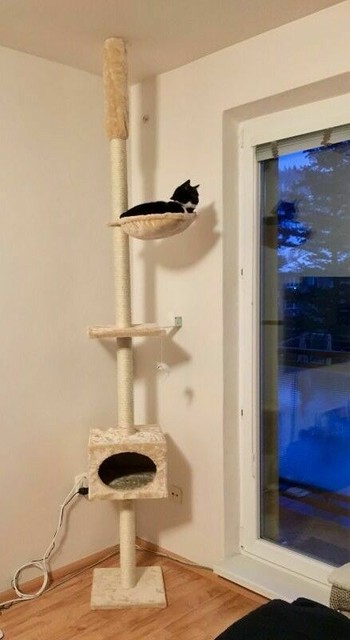 Floor To Ceiling Cat Tree 3 Levels Sisal Scratch Post Hammock Den