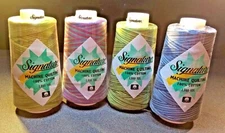 Signature Machine Quilting Variegated Thread 3,000 Yards 100% Cotton 40 Wt.