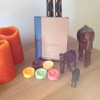 PartyLite 24 Teelichter ''Rose + Kamille  - NEU OVP - toller Duft