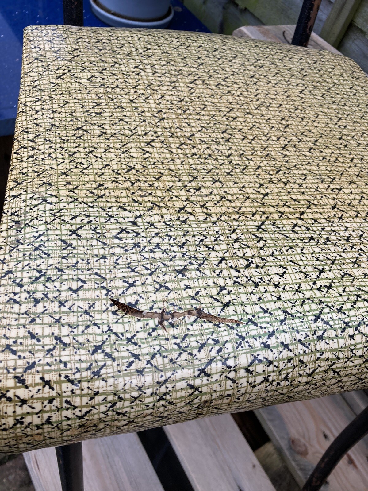 A Vintage Pair of Mid Century Retro Designer kitchen chairs eBay