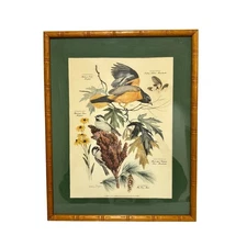Vintage Arthur Singer framed art print #8 illustration Chikadee birds & flowers