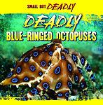 Deadly Blue-Ringed Octopuses by Allyn, Daisy